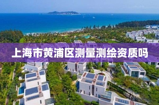 上海市黃浦區測量測繪資質嗎