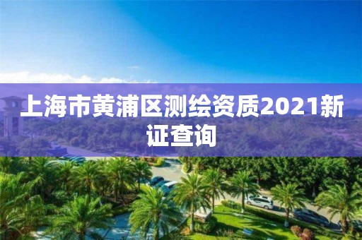 上海市黃浦區測繪資質2021新證查詢