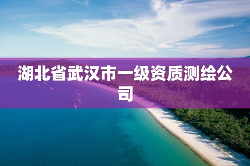 湖北省武漢市一級資質(zhì)測繪公司