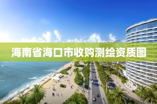 海南省海口市收購(gòu)測(cè)繪資質(zhì)圖