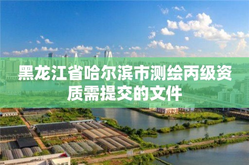 黑龍江省哈爾濱市測繪丙級資質需提交的文件