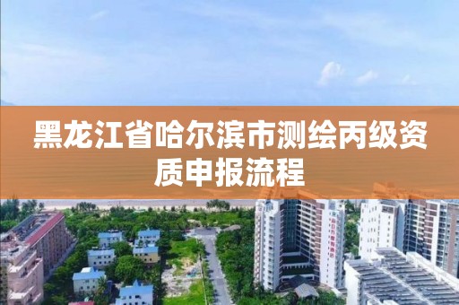 黑龍江省哈爾濱市測繪丙級資質申報流程