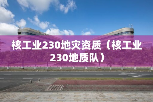 核工業(yè)230地災(zāi)資質(zhì)（核工業(yè)230地質(zhì)隊(duì)）