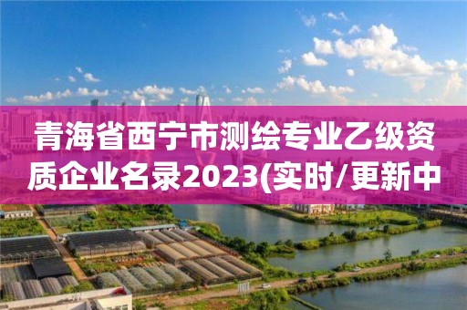 青海省西寧市測(cè)繪專業(yè)乙級(jí)資質(zhì)企業(yè)名錄2023(實(shí)時(shí)/更新中)