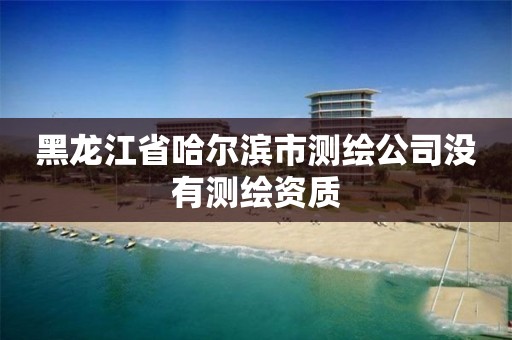 黑龍江省哈爾濱市測繪公司沒有測繪資質