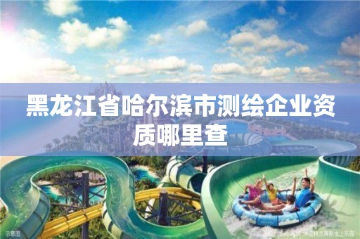 黑龍江省哈爾濱市測繪企業資質哪里查