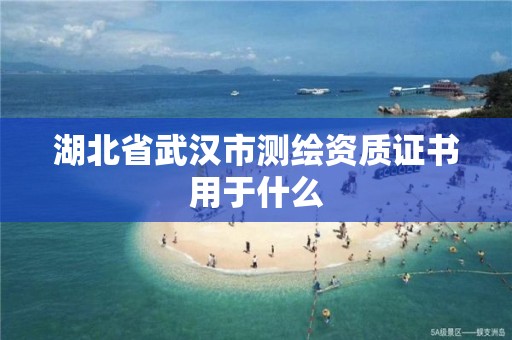 湖北省武漢市測繪資質證書用于什么