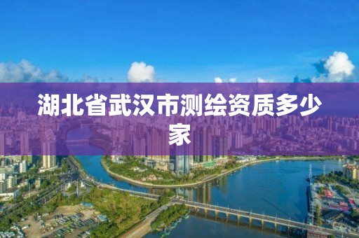 湖北省武漢市測繪資質多少家