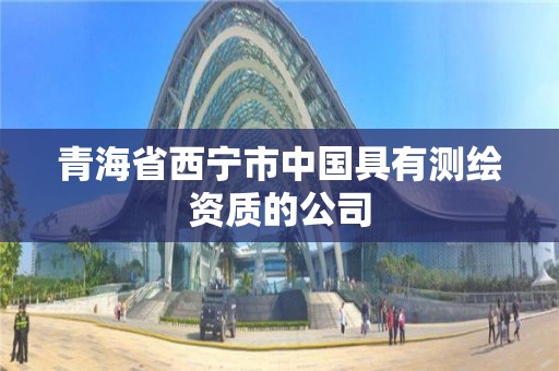 青海省西寧市中國(guó)具有測(cè)繪資質(zhì)的公司