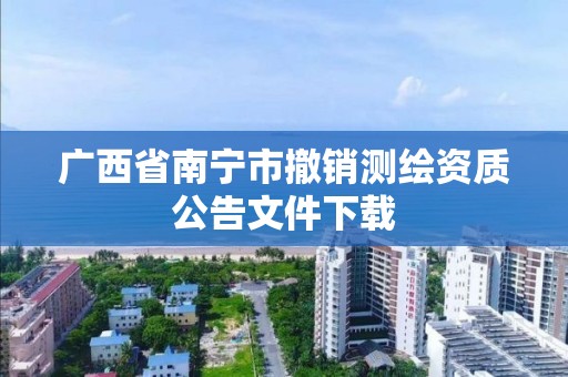 廣西省南寧市撤銷測繪資質公告文件下載