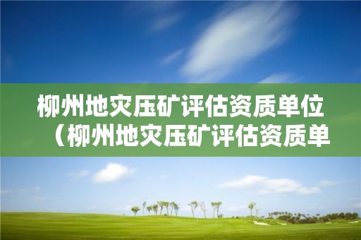 柳州地災壓礦評估資質單位（柳州地災壓礦評估資質單位有哪些）