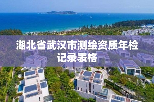 湖北省武漢市測繪資質年檢記錄表格