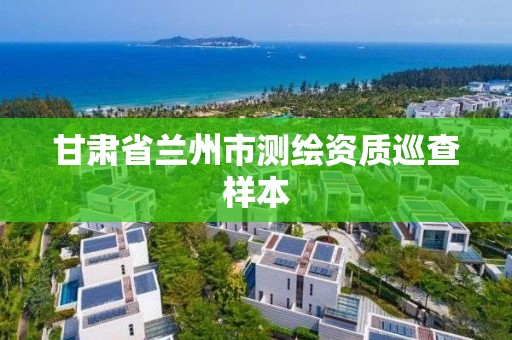 甘肅省蘭州市測繪資質巡查樣本