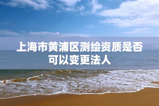 上海市黃浦區(qū)測繪資質是否可以變更法人