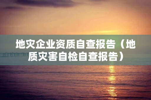 地災企業資質自查報告（地質災害自檢自查報告）