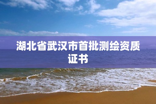 湖北省武漢市首批測繪資質證書