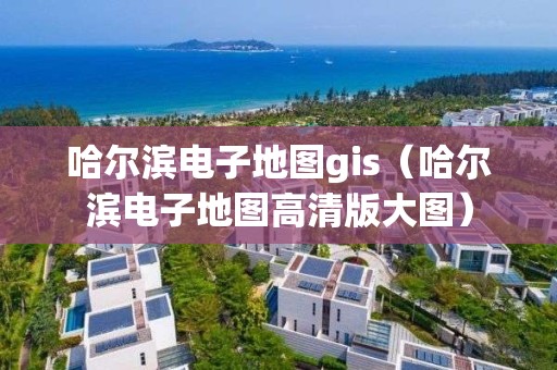 哈爾濱電子地圖gis（哈爾濱電子地圖高清版大圖）