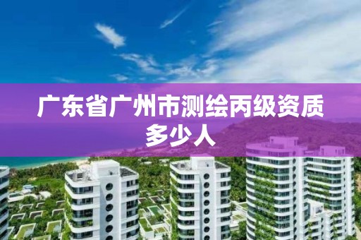 廣東省廣州市測(cè)繪丙級(jí)資質(zhì)多少人