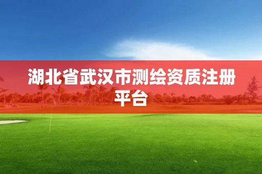 湖北省武漢市測繪資質注冊平臺