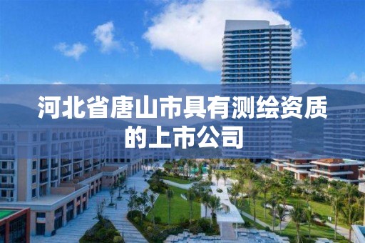 河北省唐山市具有測繪資質(zhì)的上市公司