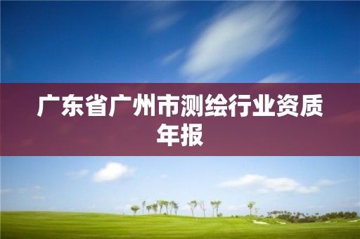 廣東省廣州市測繪行業資質年報