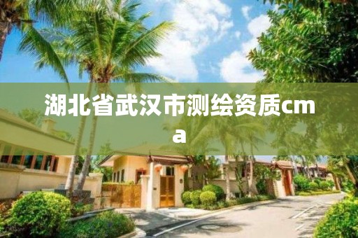 湖北省武漢市測繪資質cma