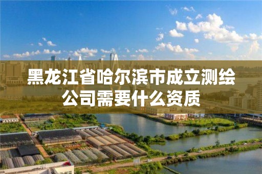 黑龍江省哈爾濱市成立測繪公司需要什么資質