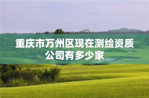 重慶市萬州區現在測繪資質公司有多少家