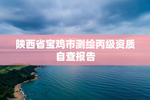 陜西省寶雞市測繪丙級資質自查報告