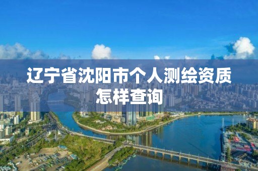 遼寧省沈陽市個人測繪資質怎樣查詢