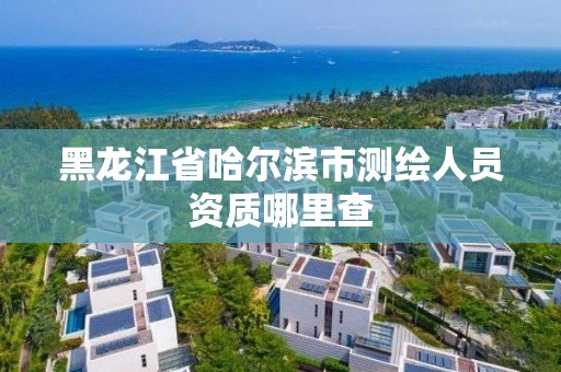 黑龍江省哈爾濱市測繪人員資質哪里查