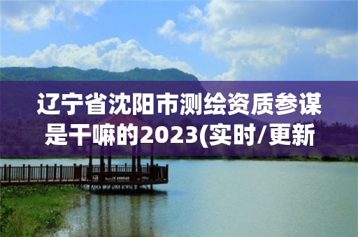 遼寧省沈陽市測繪資質參謀是干嘛的2023(實時/更新中)