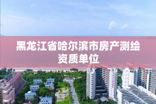 黑龍江省哈爾濱市房產測繪資質單位