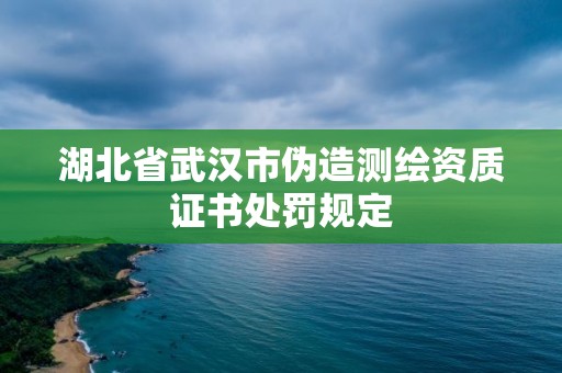 湖北省武漢市偽造測繪資質證書處罰規定