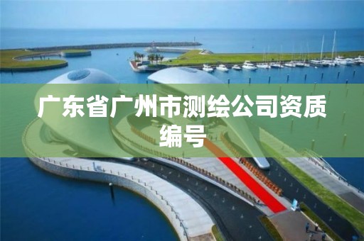 廣東省廣州市測繪公司資質編號