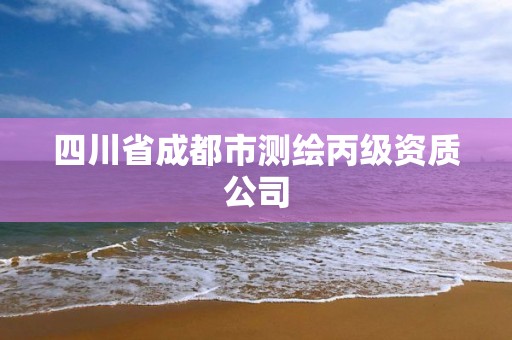 四川省成都市測繪丙級資質公司