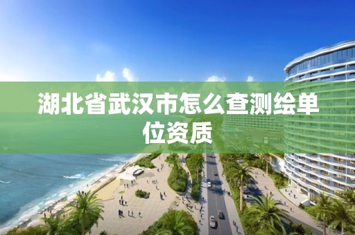 湖北省武漢市怎么查測繪單位資質(zhì)