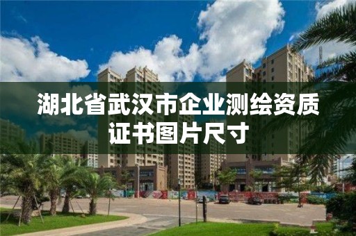 湖北省武漢市企業測繪資質證書圖片尺寸