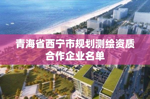 青海省西寧市規(guī)劃測繪資質(zhì)合作企業(yè)名單