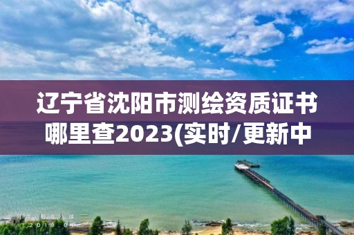 遼寧省沈陽市測繪資質證書哪里查2023(實時/更新中)