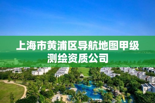 上海市黃浦區導航地圖甲級測繪資質公司