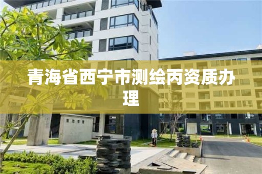 青海省西寧市測繪丙資質辦理