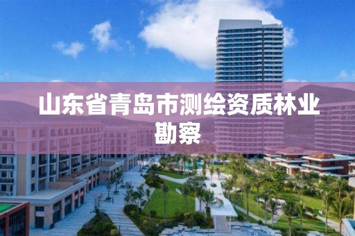 山東省青島市測繪資質林業勘察