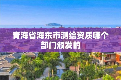 青海省海東市測繪資質哪個部門頒發的