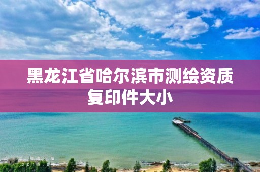 黑龍江省哈爾濱市測繪資質復印件大小