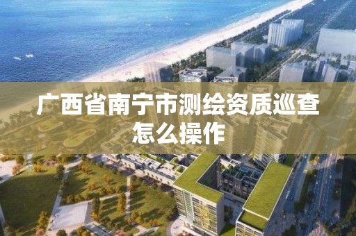 廣西省南寧市測繪資質巡查怎么操作