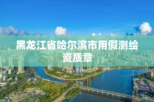 黑龍江省哈爾濱市用假測繪資質章