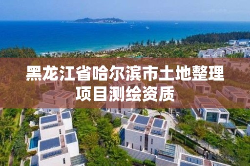 黑龍江省哈爾濱市土地整理項目測繪資質