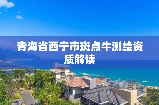 青海省西寧市斑點牛測繪資質解讀