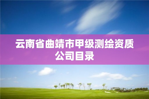 云南省曲靖市甲級(jí)測(cè)繪資質(zhì)公司目錄